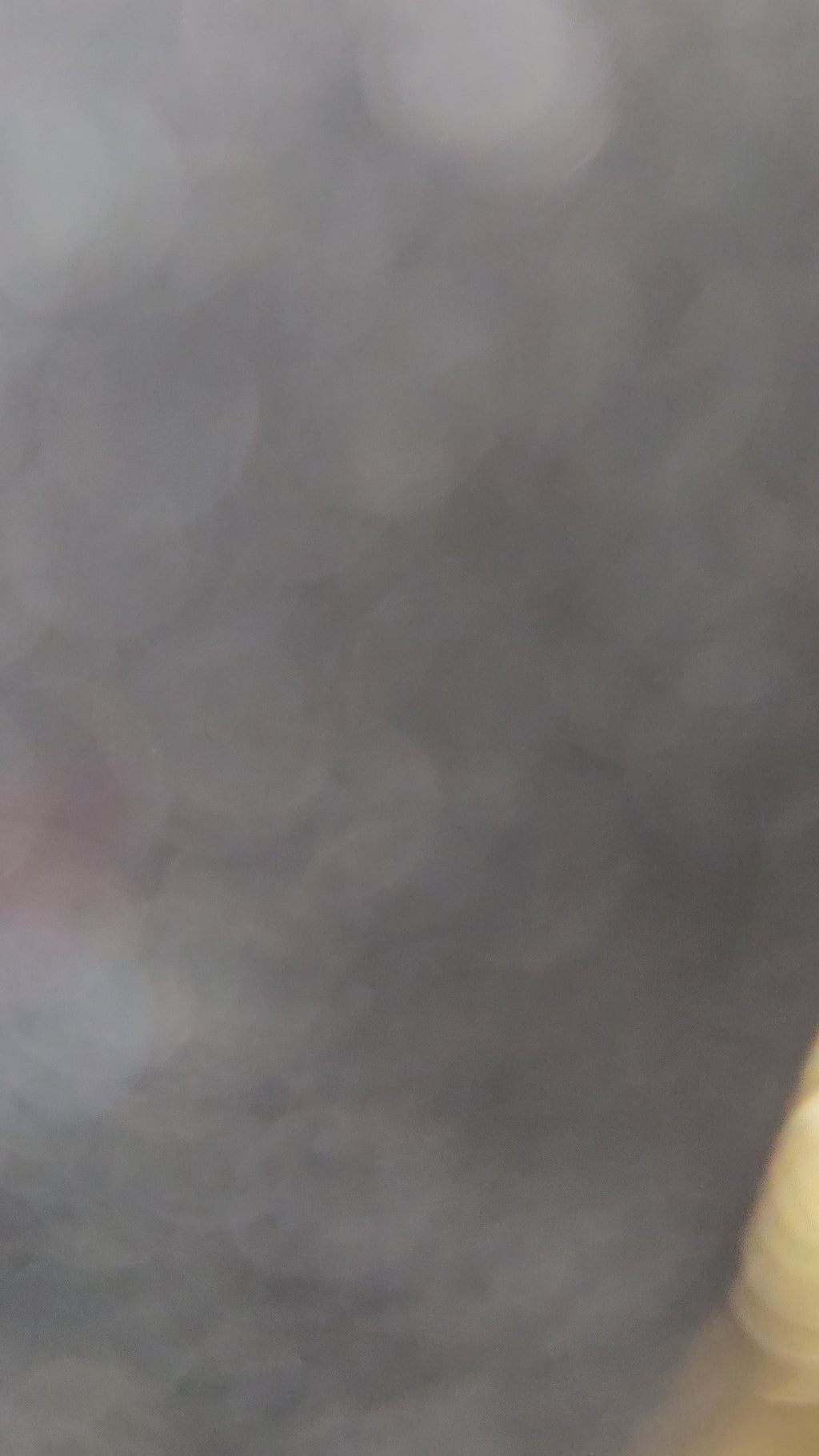 Golden Flutter Butterfly Drop Earrings | Anti - Tarnish | Xayah