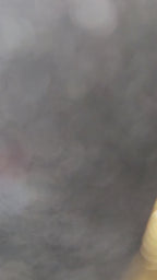 Golden Flutter Butterfly Drop Earrings | Anti - Tarnish | Xayah