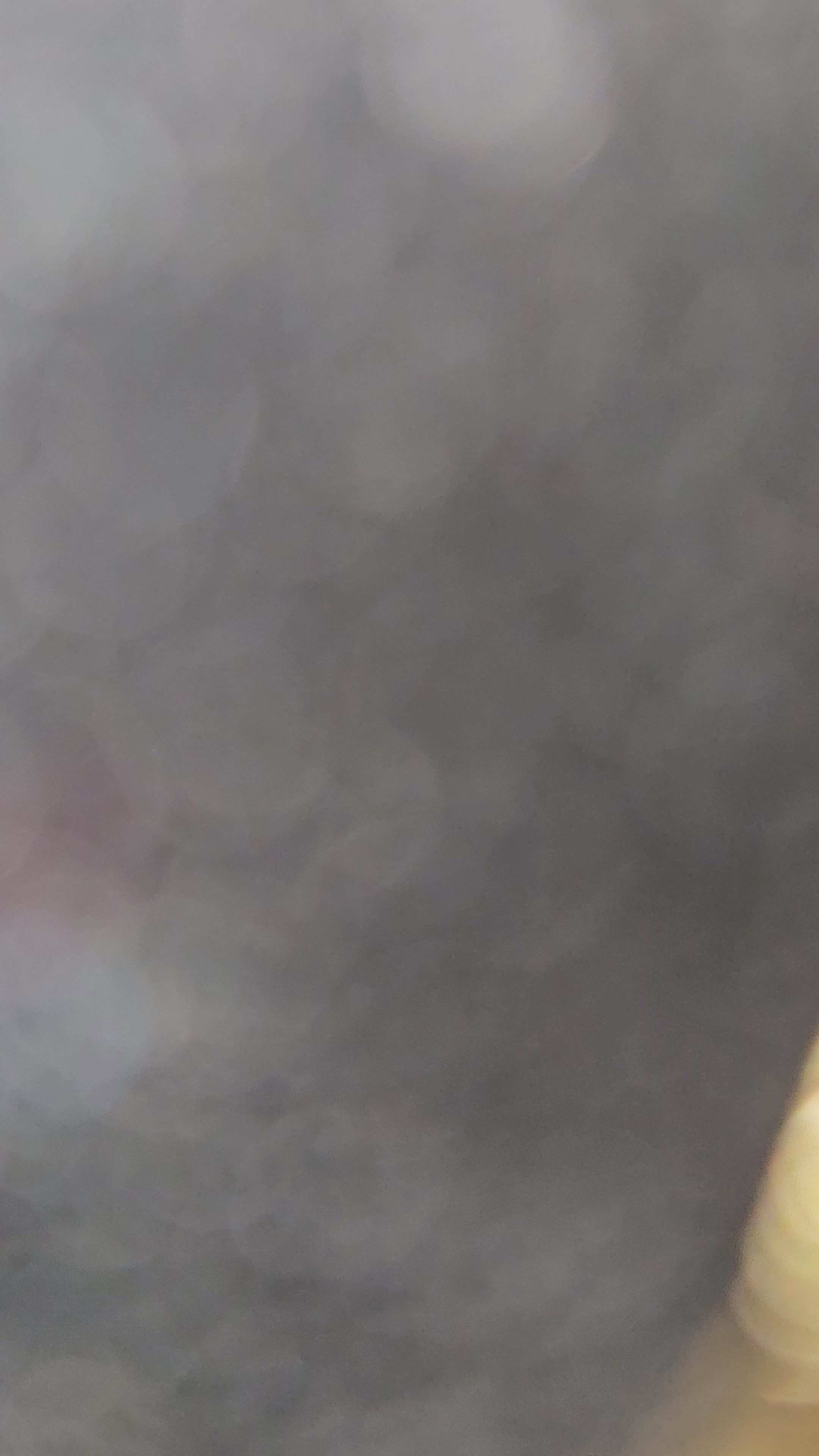 Golden Flutter Butterfly Drop Earrings | Anti - Tarnish | Xayah