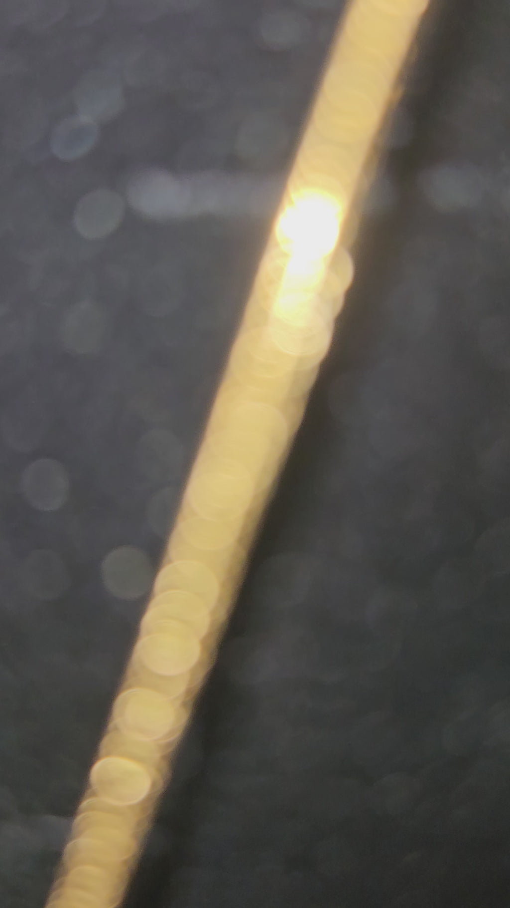 Enchanted Petal Pendant | Anti - Tarnish | Xayah